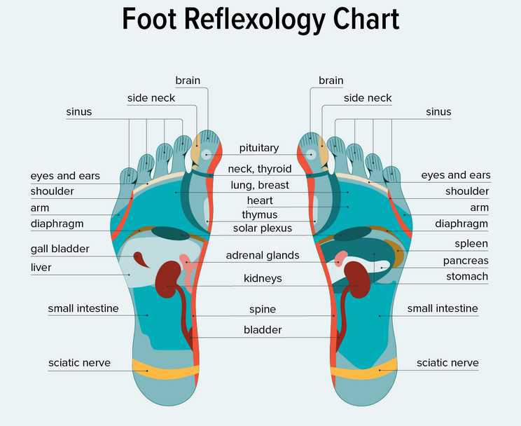 Impact Solutions database 9 Impact Solutions database