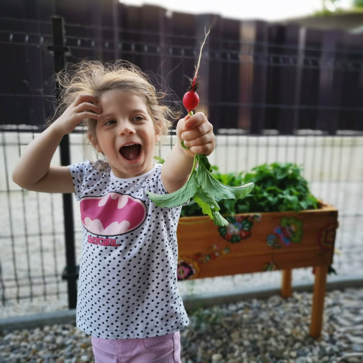 Impact Soulution list view 3 Impact Soulution list view