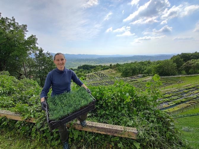 Impact Solutions database 21 Impact Solutions database