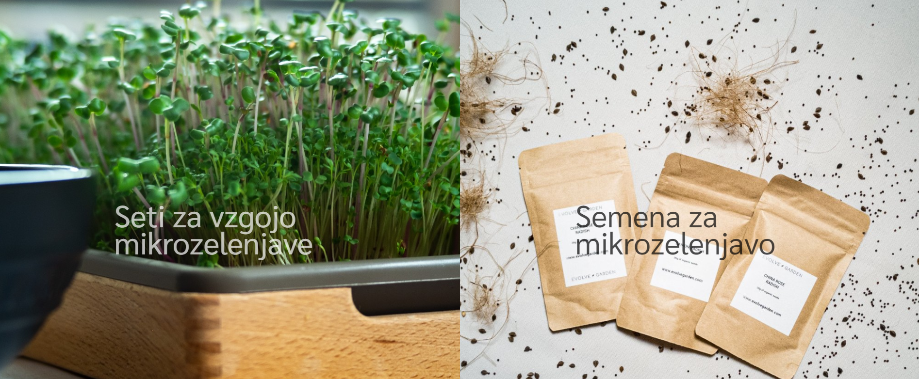 Impact Solutions database 19 Impact Solutions database