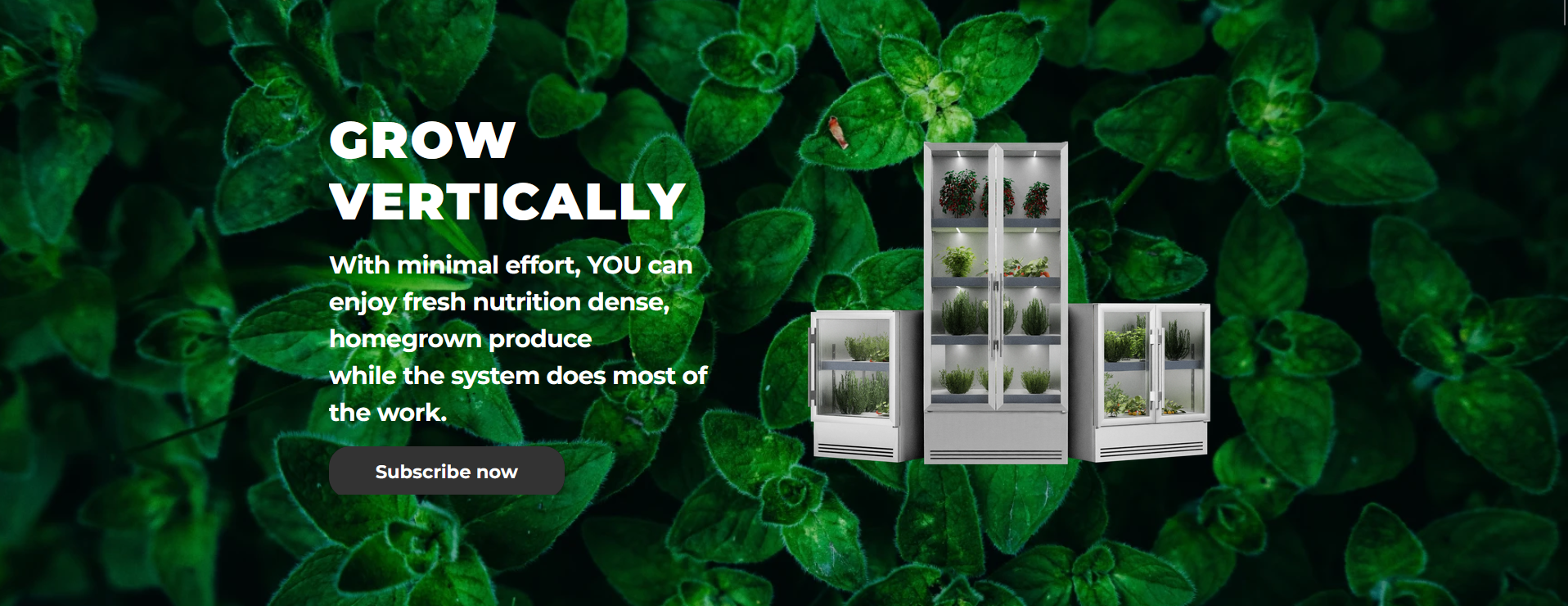 Impact Soulution list view 20 Impact Soulution list view