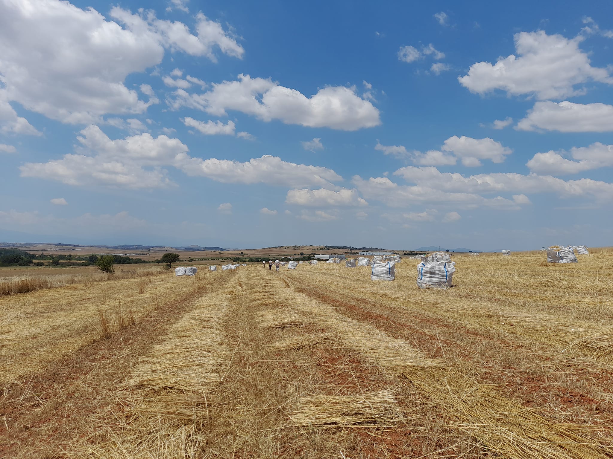 Impact Soulution list view 12 Impact Soulution list view