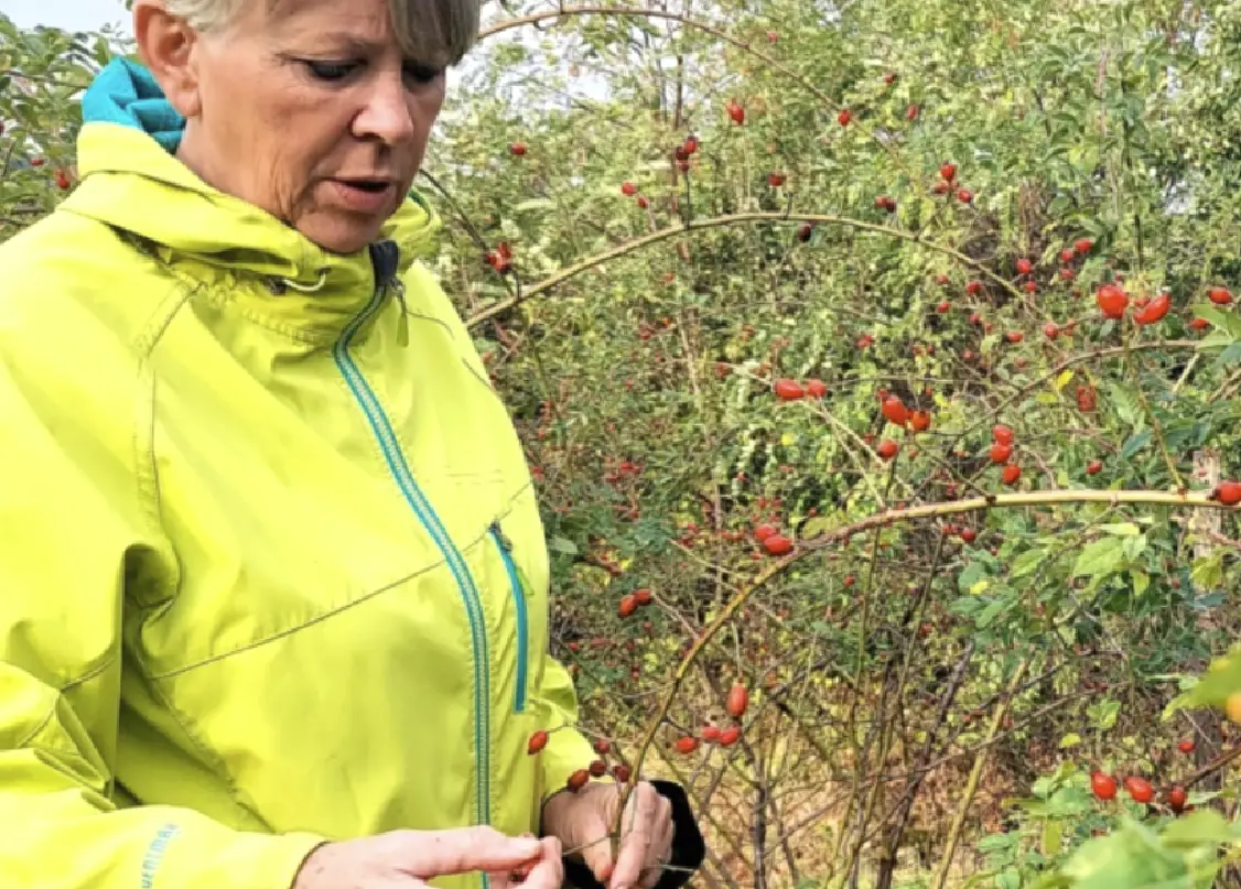 Impact Soulution list view 21 Impact Soulution list view