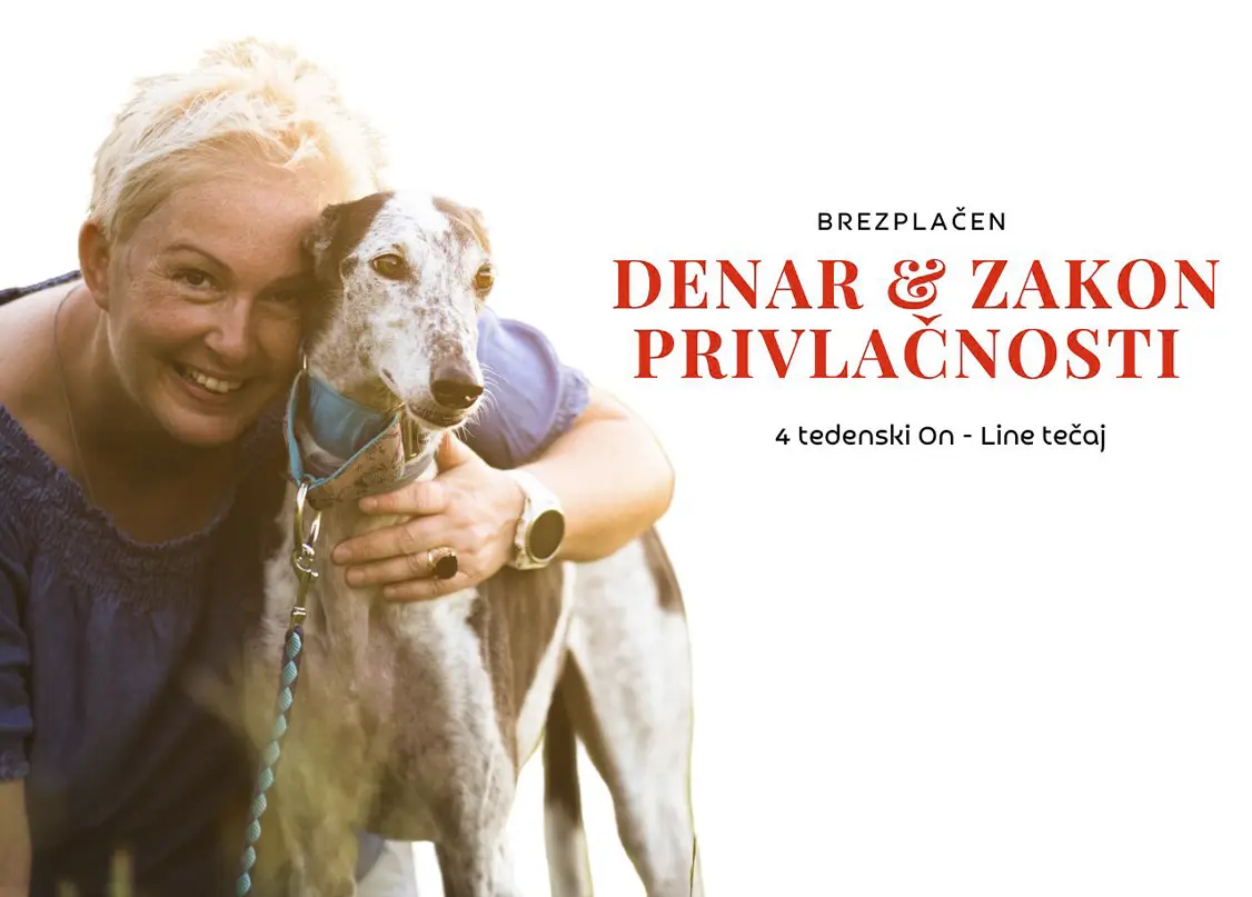 Impact Solutions database 16 Impact Solutions database