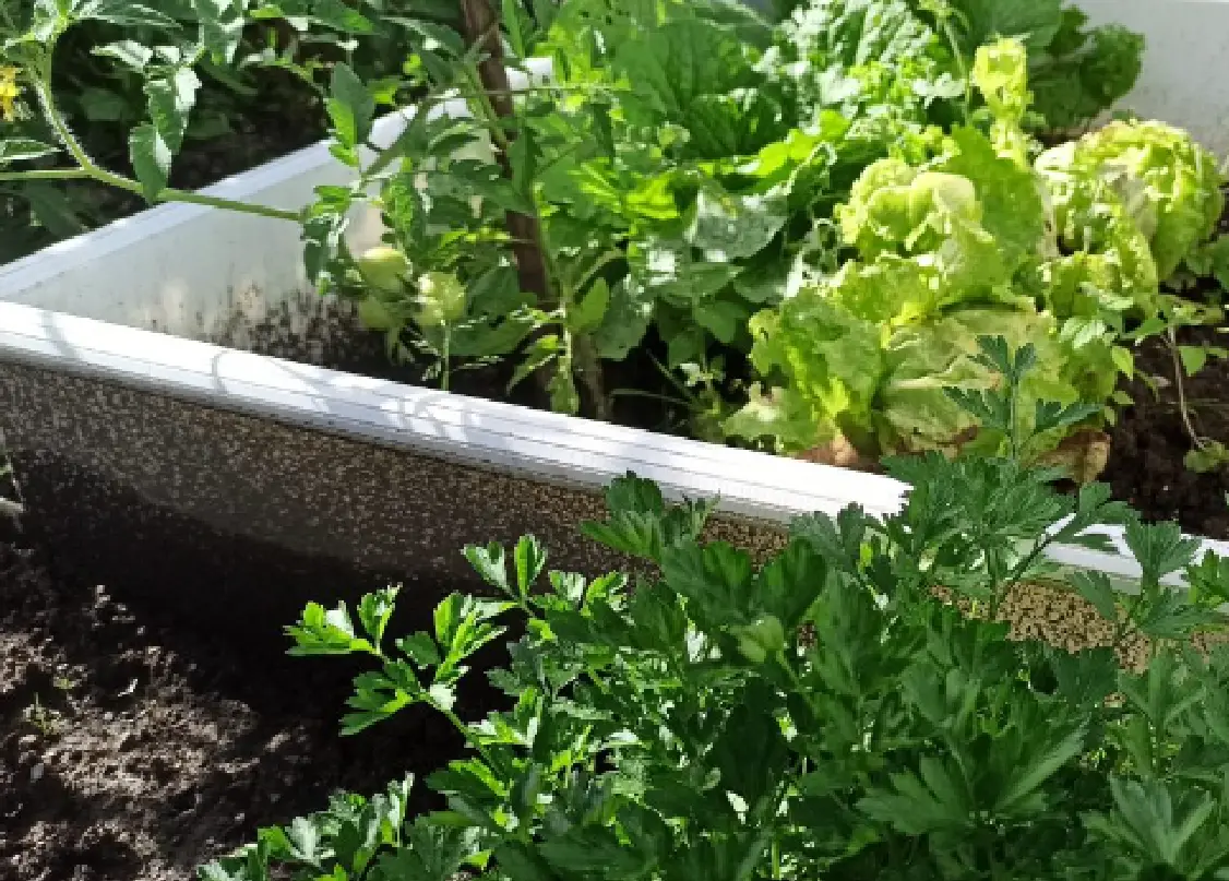 Impact Soulution list view 2 Impact Soulution list view