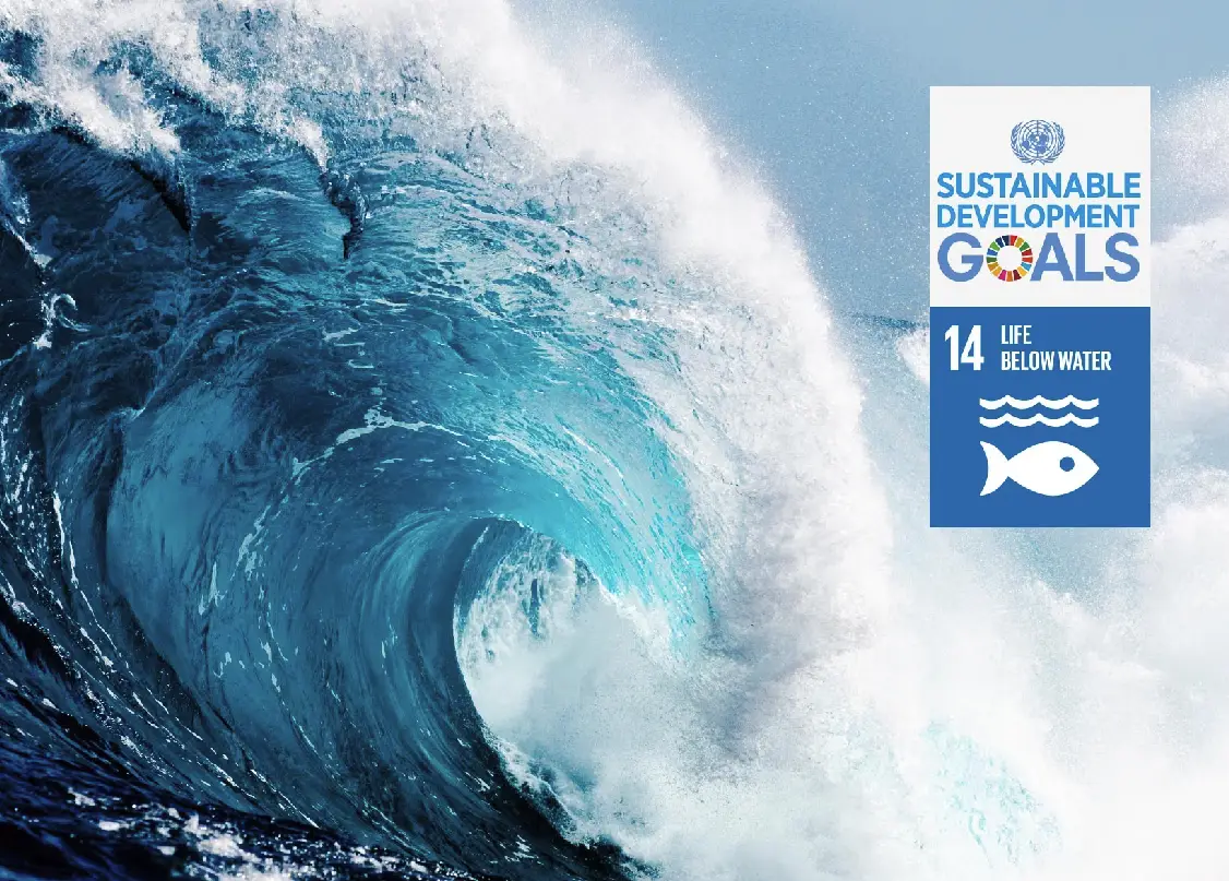 Impact Solutions database 18 Impact Solutions database