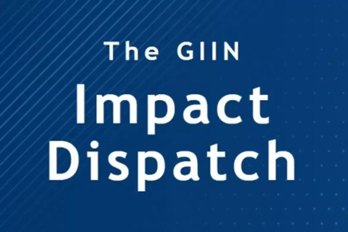 This month the GIIN collaborated with the Financial Times to publish a list of over 100 impact investors, their impact AUM and other relevant information including key sectors and target geographies.